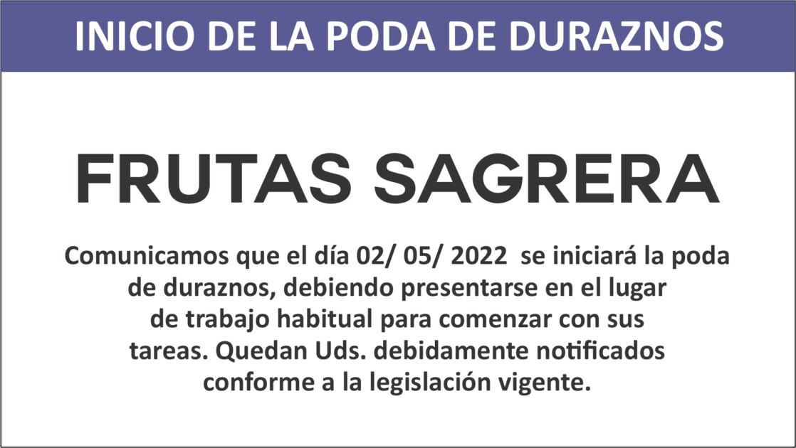 El Diario de San Pedro | Noticias locales y regionales