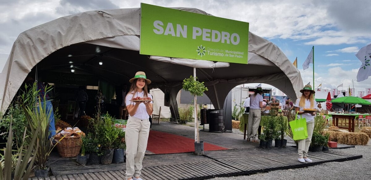 El Diario de San Pedro | Noticias locales y regionales
