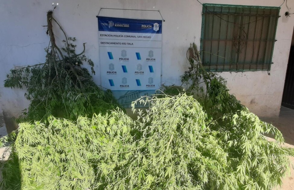El Diario de San Pedro | Noticias locales y regionales