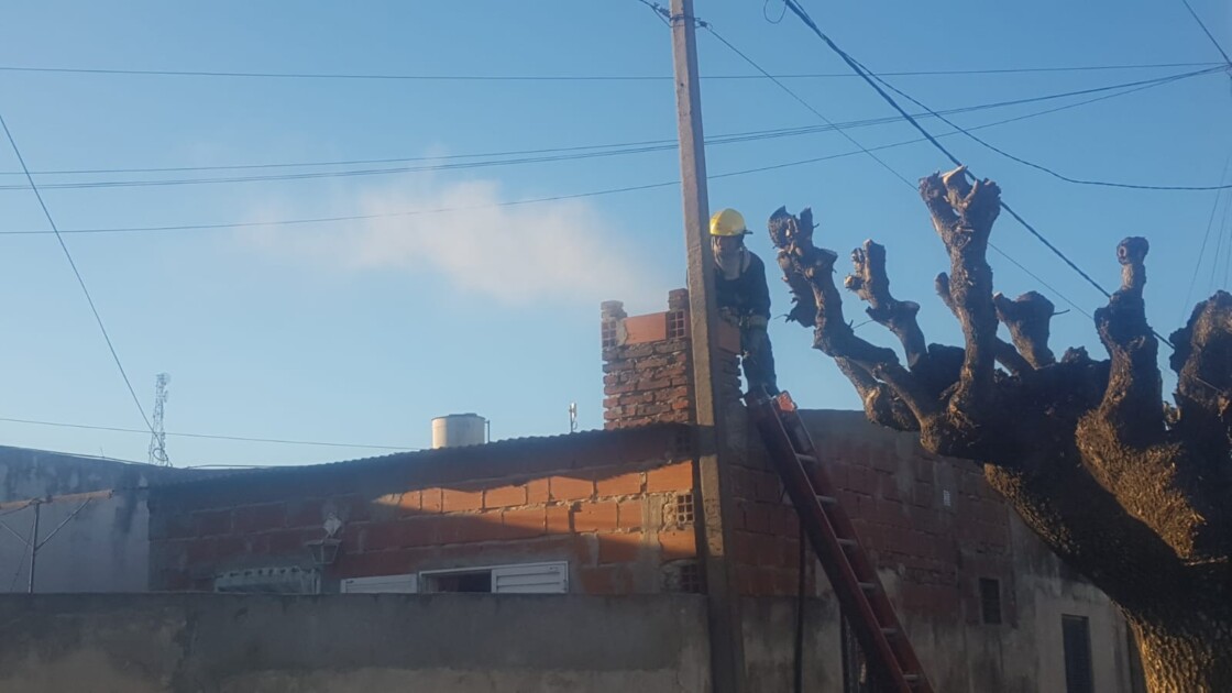 El Diario de San Pedro | Noticias locales y regionales