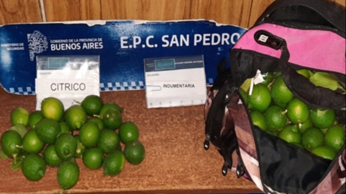 El Diario de San Pedro | Noticias locales y regionales