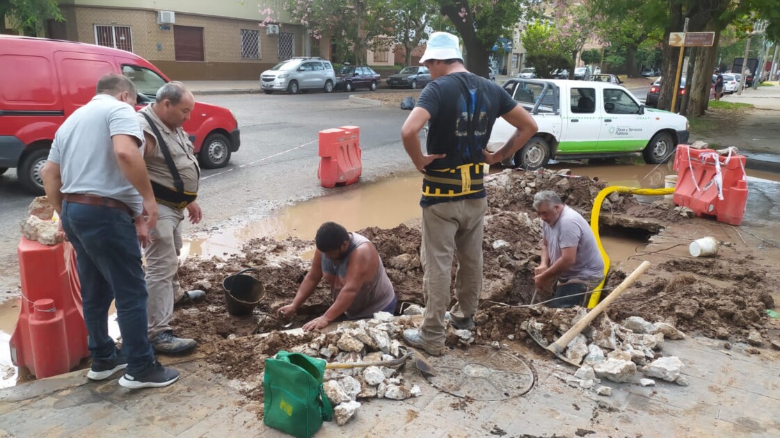 El Diario de San Pedro | Noticias locales y regionales