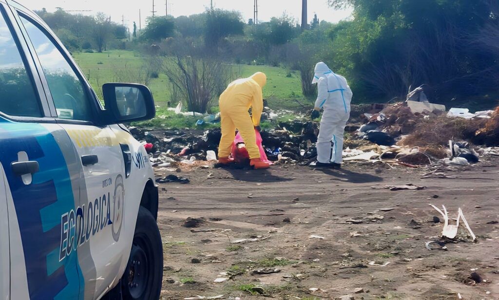 El Diario de San Pedro | Noticias locales y regionales