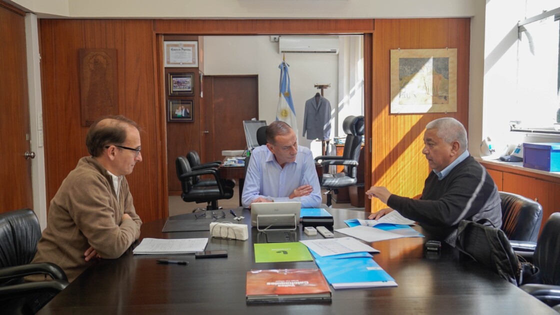 El Diario de San Pedro | Noticias locales y regionales