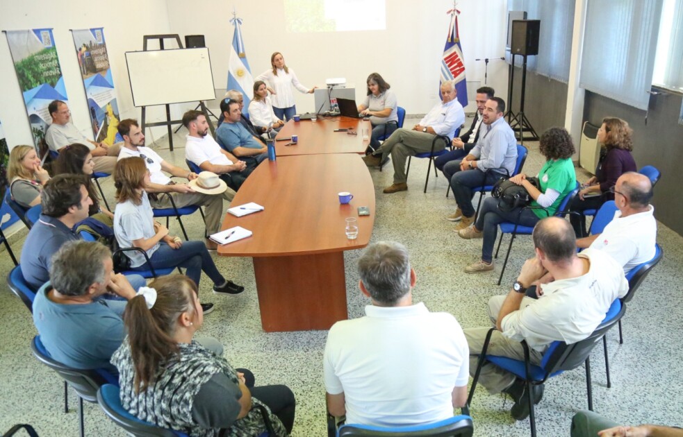 El Diario de San Pedro | Noticias locales y regionales