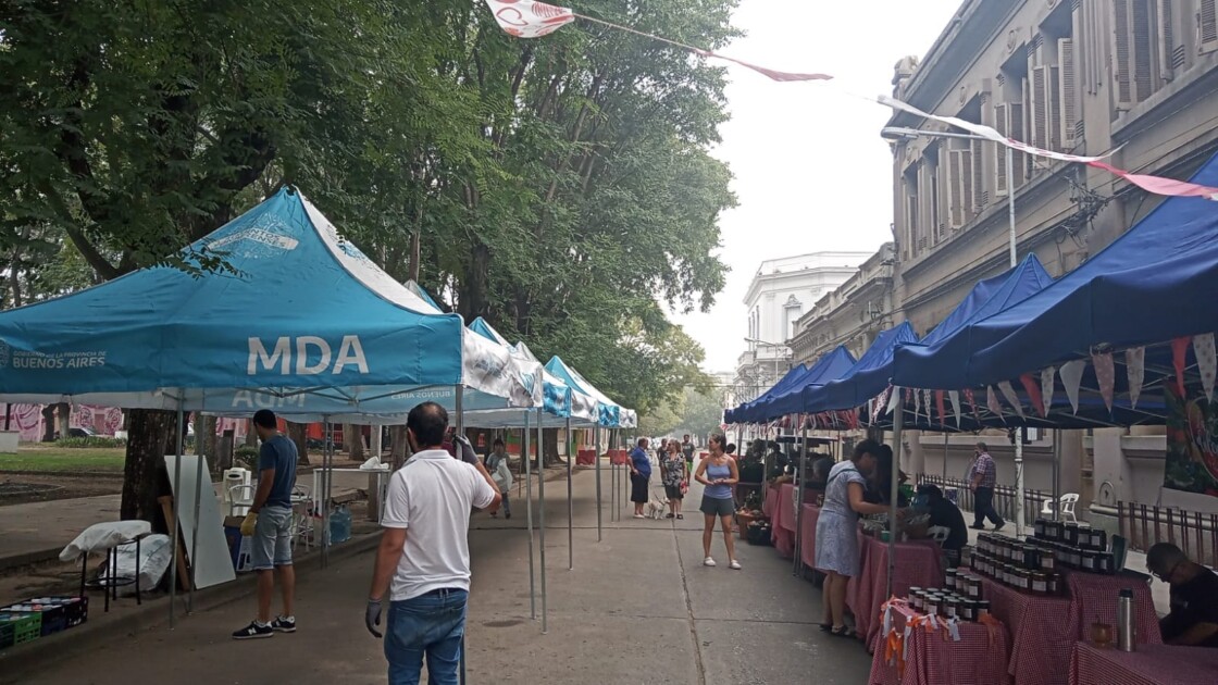 El Diario de San Pedro | Noticias locales y regionales