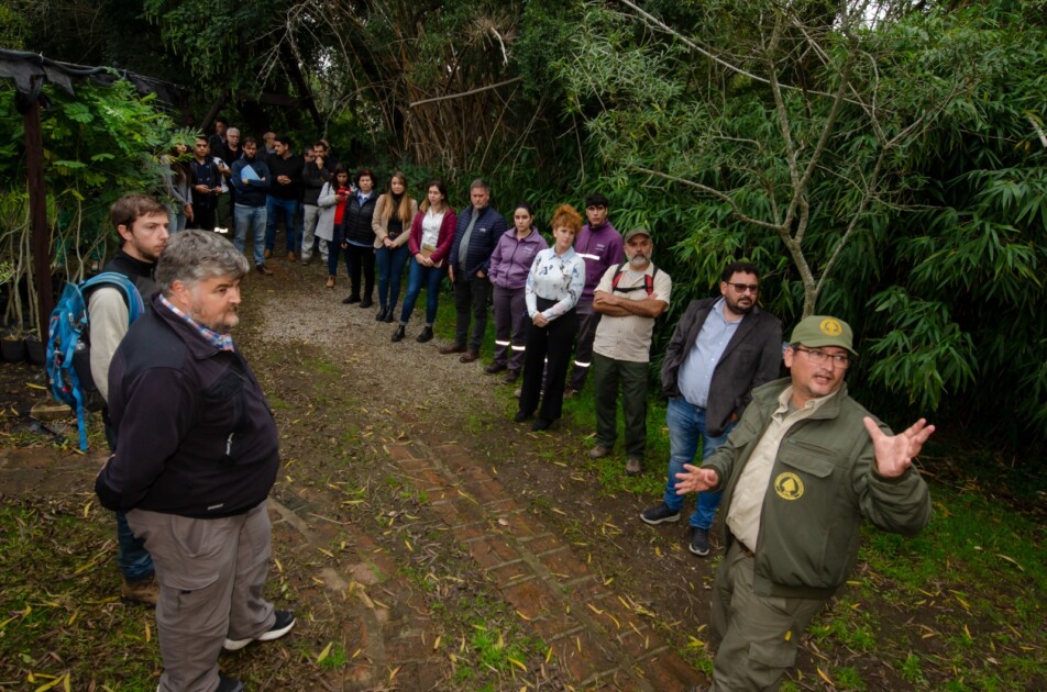 El Diario de San Pedro | Noticias locales y regionales