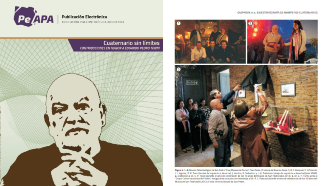 El Diario de San Pedro | Noticias locales y regionales