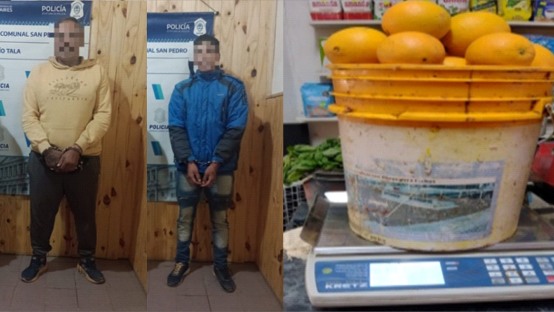 El Diario de San Pedro | Noticias locales y regionales