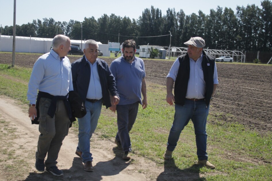 El Diario de San Pedro | Noticias locales y regionales