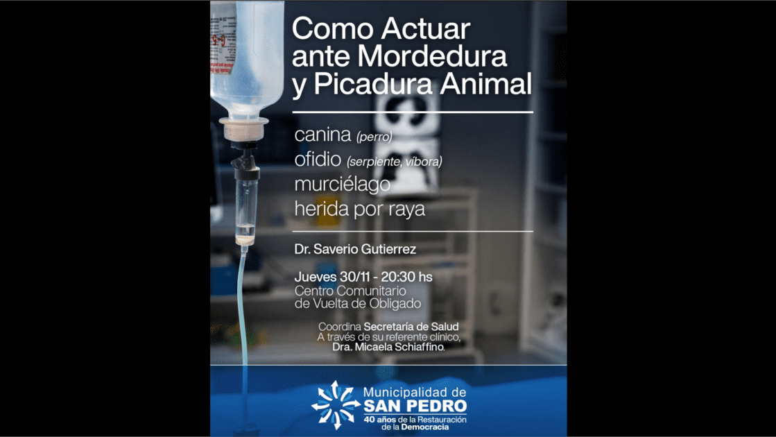 El Diario de San Pedro | Noticias locales y regionales