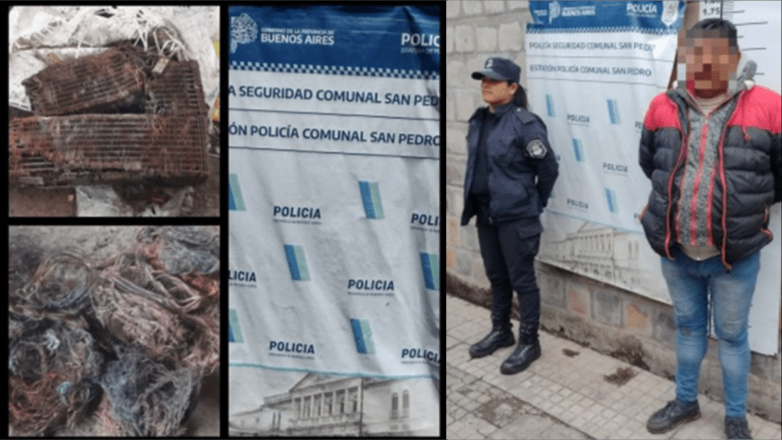 El Diario de San Pedro | Noticias locales y regionales