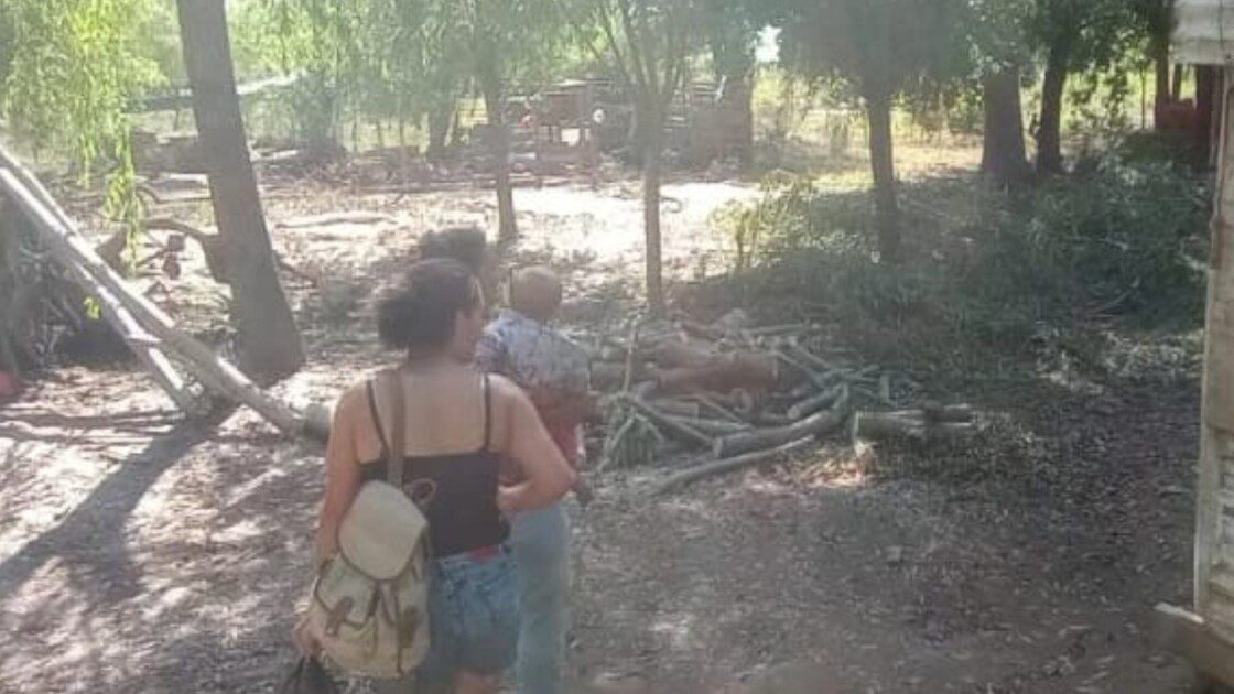 El Diario de San Pedro | Noticias locales y regionales