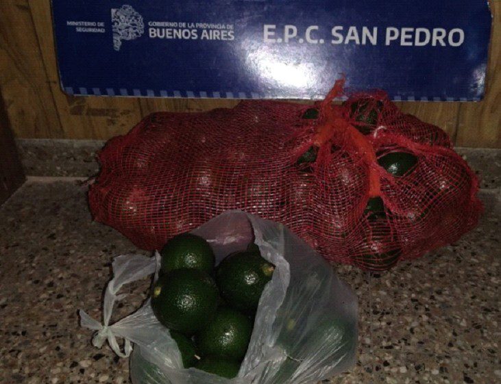 El Diario de San Pedro | Noticias locales y regionales