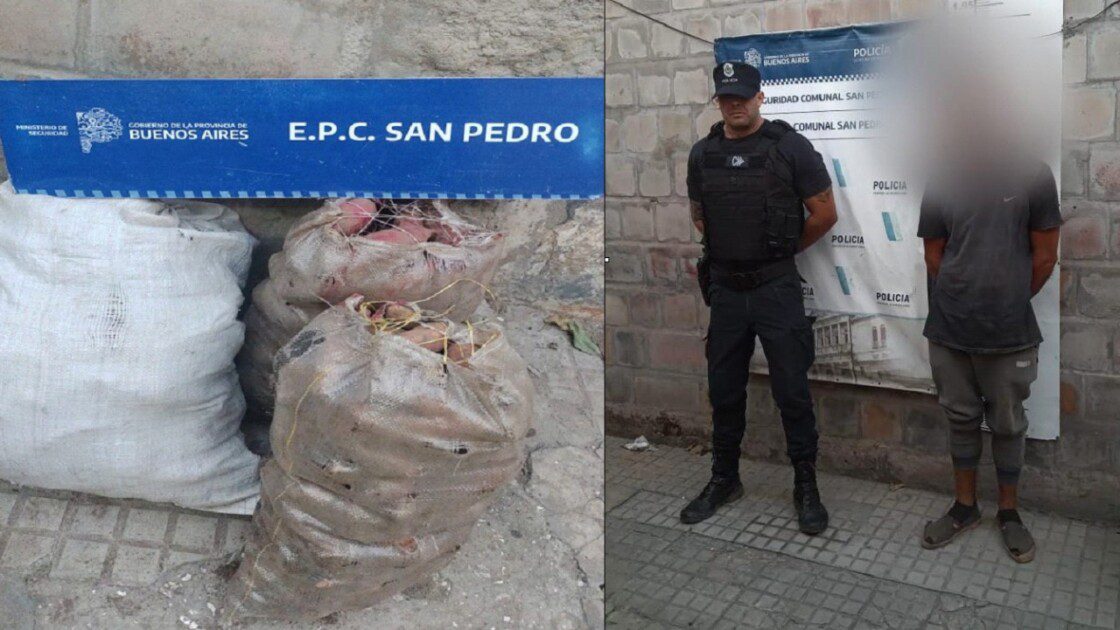 El Diario de San Pedro | Noticias locales y regionales