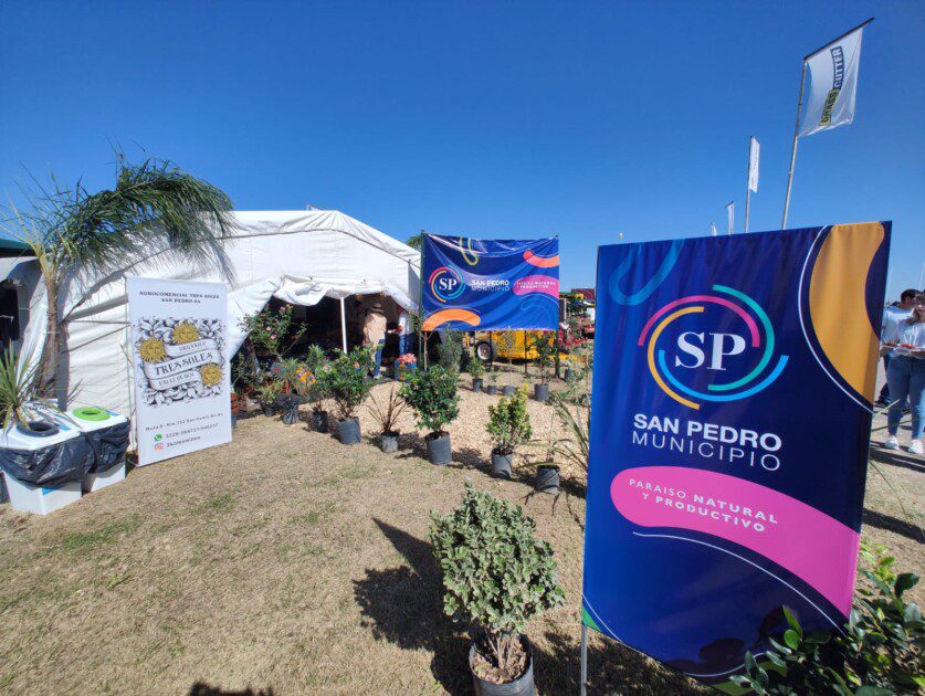 El Diario de San Pedro | Noticias locales y regionales