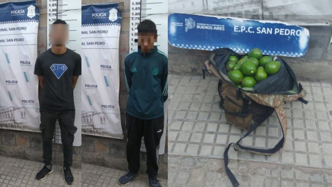 El Diario de San Pedro | Noticias locales y regionales