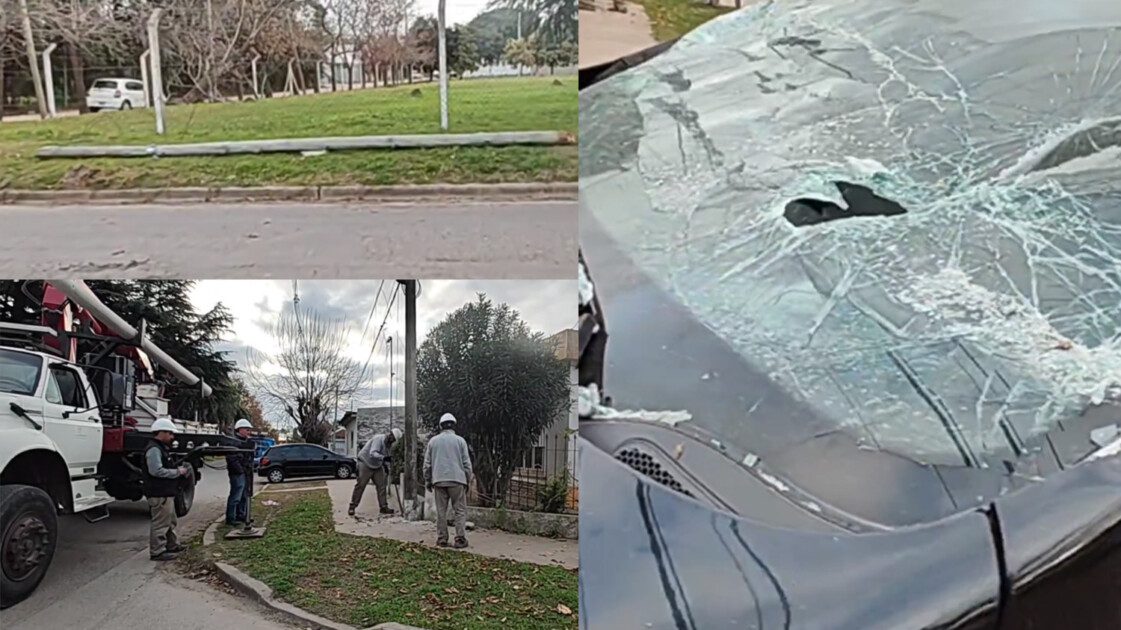 El Diario de San Pedro | Noticias locales y regionales