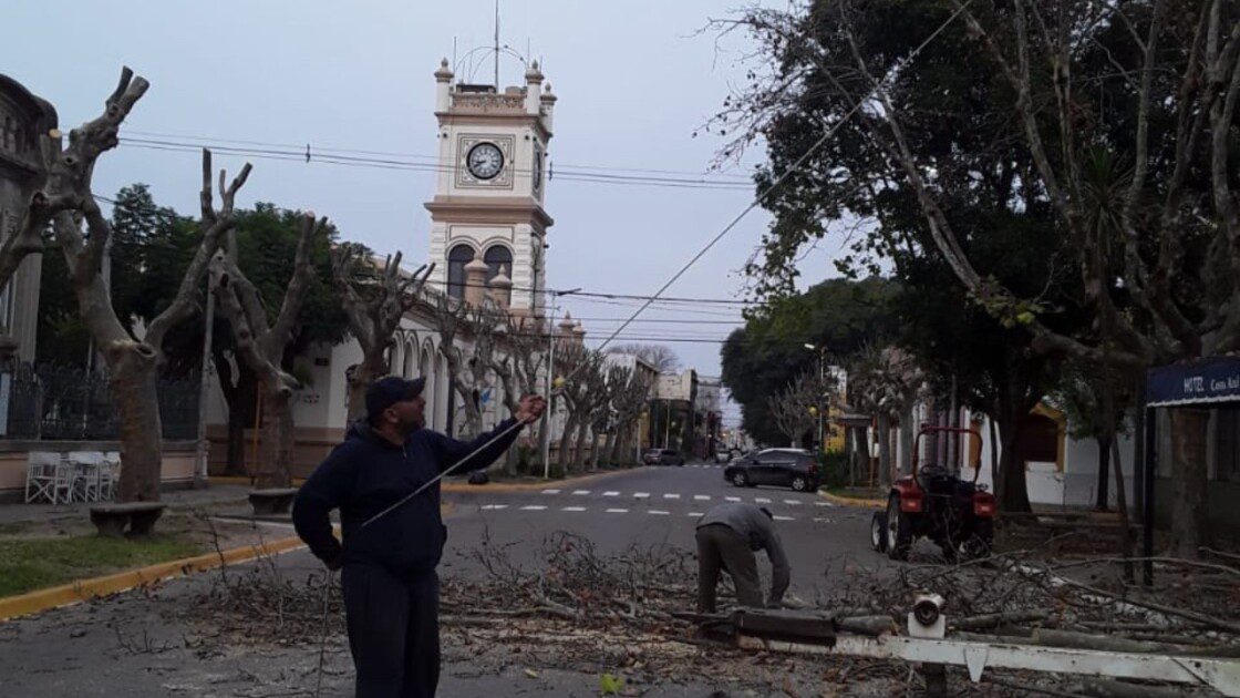 El Diario de San Pedro | Noticias locales y regionales