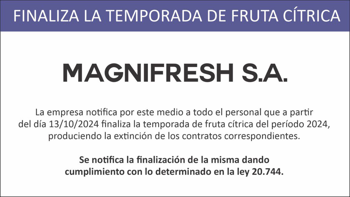 El Diario de San Pedro | Noticias locales y regionales
