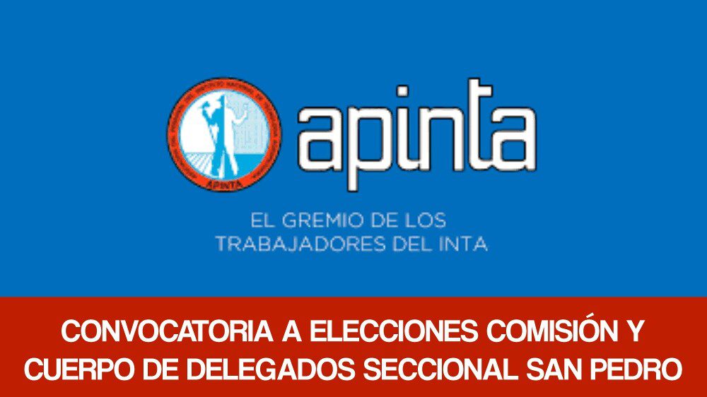 El Diario de San Pedro | Noticias locales y regionales