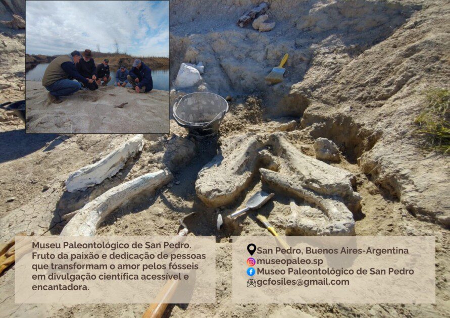El Diario de San Pedro | Noticias locales y regionales