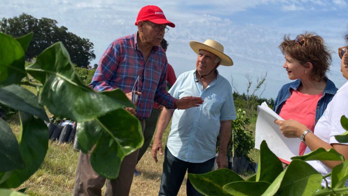 El Diario de San Pedro | Noticias locales y regionales