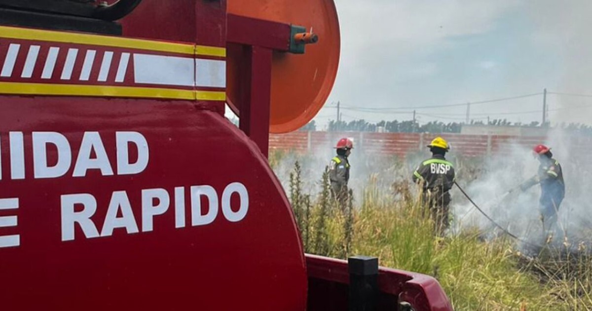 El Diario de San Pedro | Noticias locales y regionales