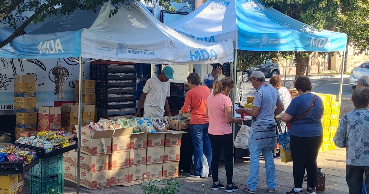 El Diario de San Pedro | Noticias locales y regionales